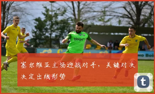 塞尔维亚主场迎战对手，关键对决决定出线形势