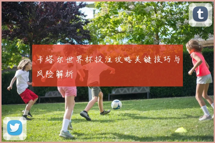 卡塔尔世界杯投注攻略关键技巧与风险解析