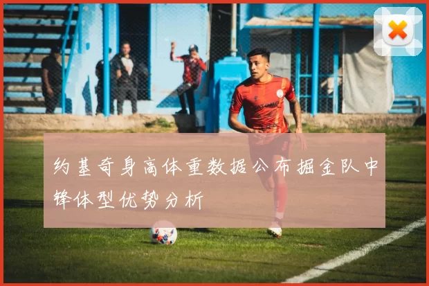 约基奇身高体重数据公布掘金队中锋体型优势分析