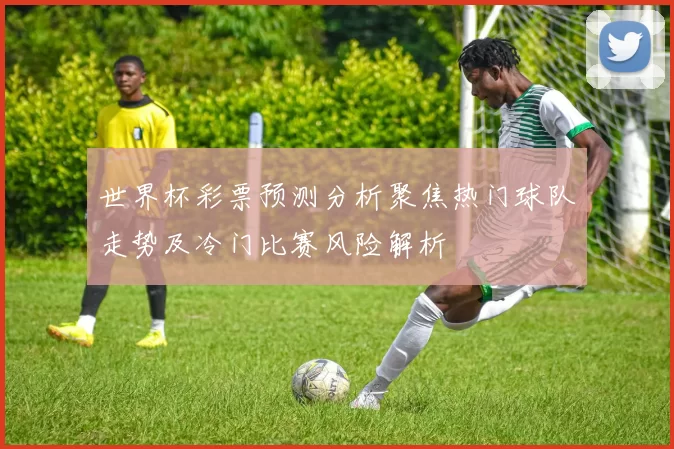 世界杯彩票预测分析聚焦热门球队走势及冷门比赛风险解析